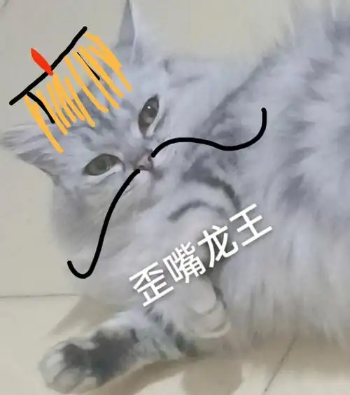 猫猫虫的表情包