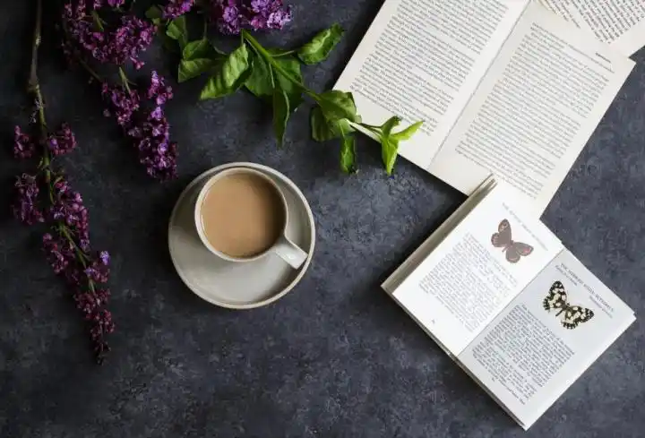 很适合配音的文案,安静淡然的唯美句子