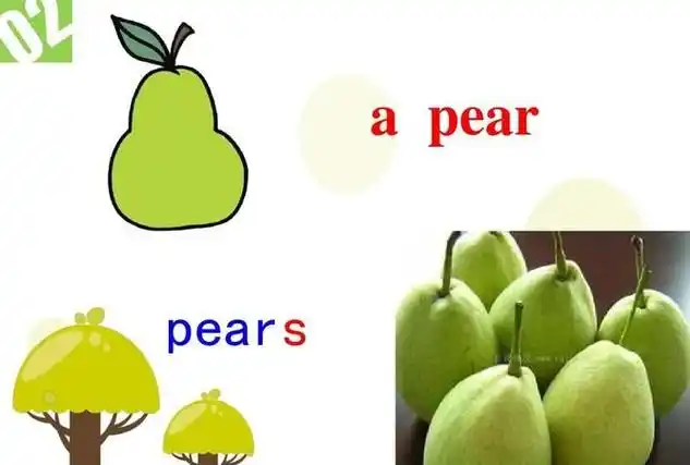 pear是什么意思,pear的意思图3