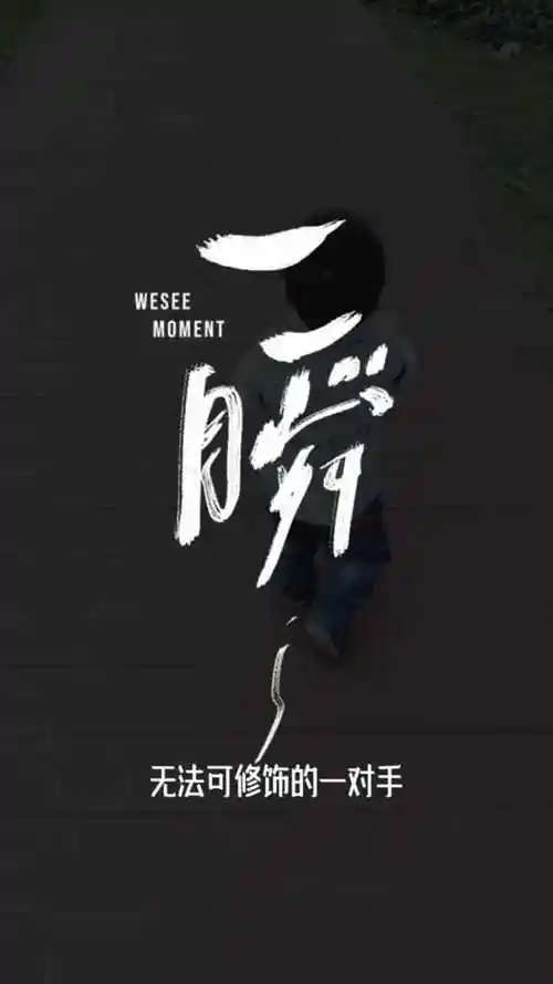 是你多么温馨的目光教我坚毅望着前路