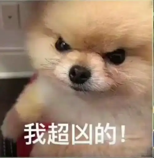 去,咬死狗管理表情包 - 表情图