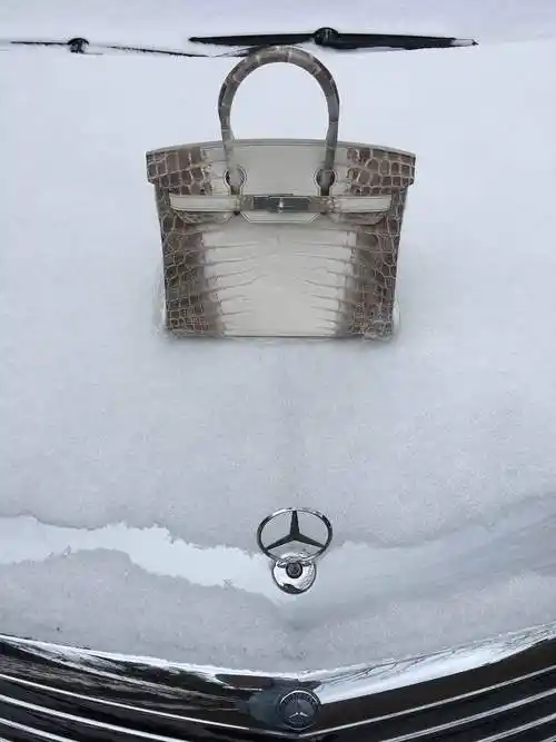 鳄鱼皮包(爱马仕铂金喜马拉雅全世界限量三个) - 爱玛仕喜马拉雅包