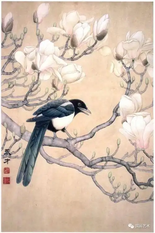 玉兰喜鹊工笔画法示范