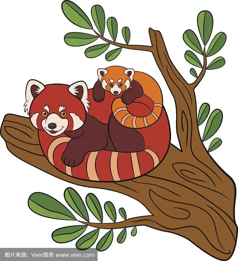 卡通野生动物.小熊猫妈妈和她可爱的宝宝.