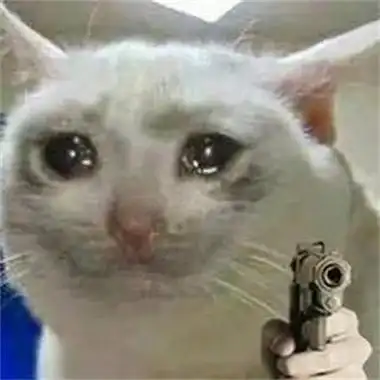 流泪猫猫头表情包最新版下载-流泪猫猫头(我不骂人,只是流泪)表情包