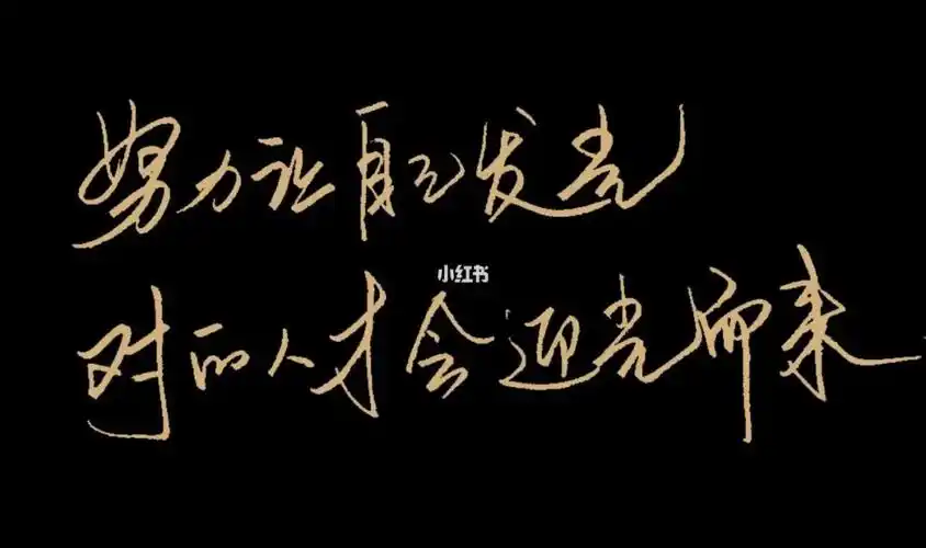 手抄32‖努力让自己发光,对的人会迎面而来