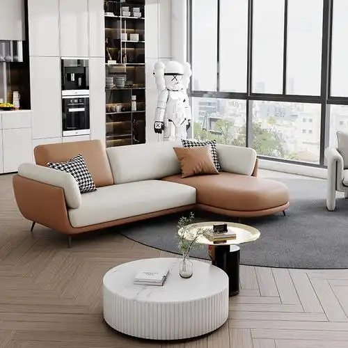 设计师沙发北欧简约现代拼色艺术小户型客厅科技布网红转角贵妃位