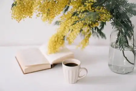 一杯咖啡和一本书放在白色的书桌上,还有一束黄花含羞草.