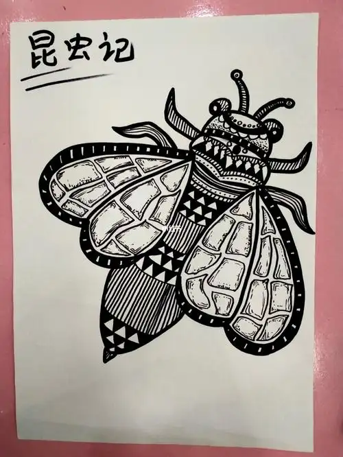 昆虫记黑白线描