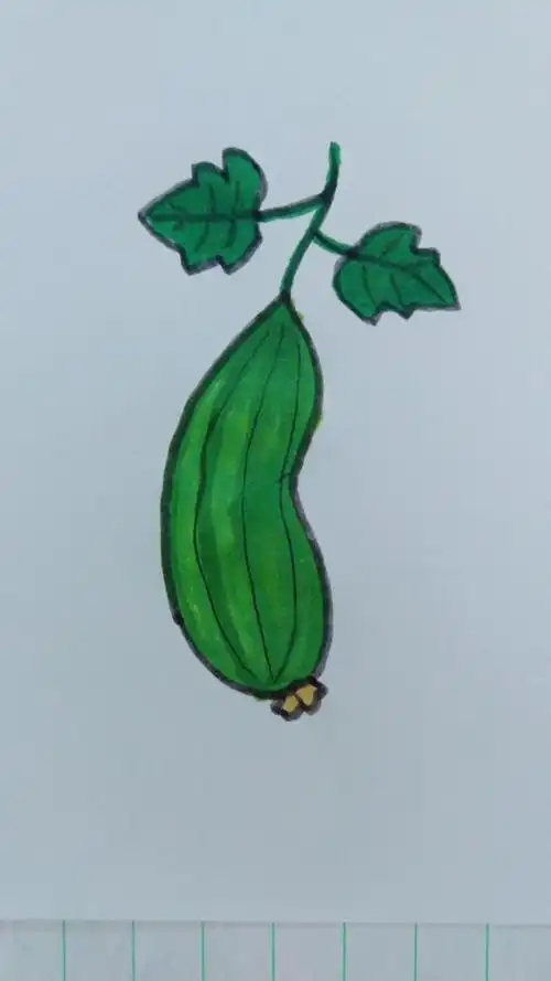 简笔画丝瓜