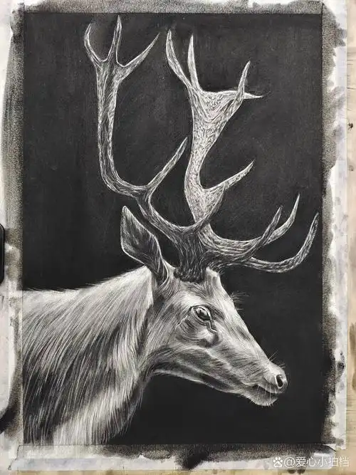 精细素描(麋鹿)