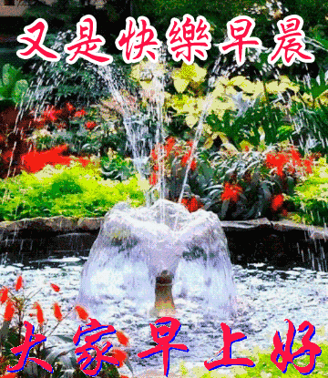 2019最新早晨动态表情大全最新漂亮早上好图片动态