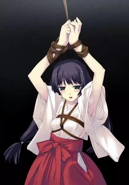 二次元被绑束缚大全 - 搜狗图片搜索