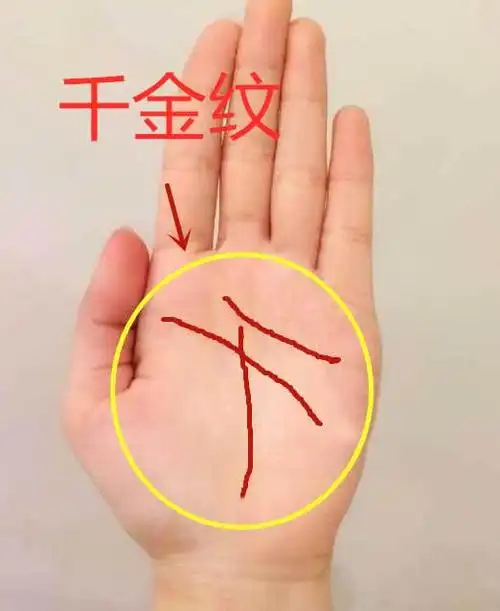 民俗 掌中生有千金纹一生安享富贵古人看手相最主要看的就是掌纹,现在