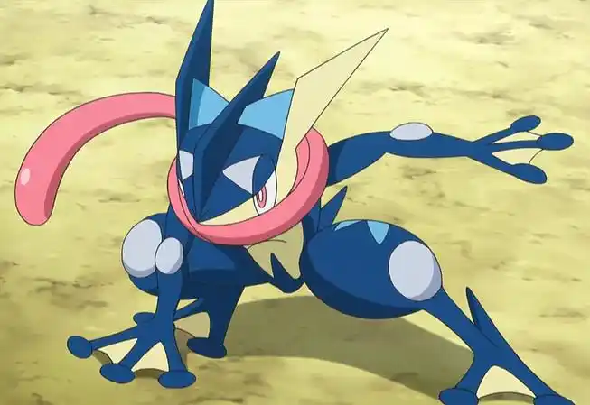 擂台上的喷火龙 甲贺忍蛙 在回合开始时造成5点