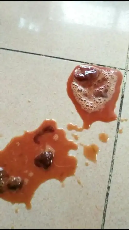 拉布拉多细小第6天拉了3次血,喂生理盐水吐了2次