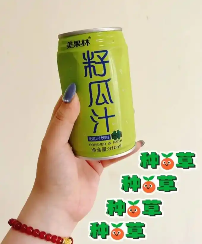 甘肃特产籽瓜汁