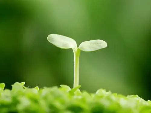 百度爱采购入驻规则百度爱采购商家入驻流程