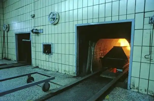 遗体火化以后,会有哪些变化?还存在基因吗?