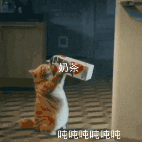 约奶茶表情包动图合集你能不能偷你男朋友钱给我买一杯奶茶