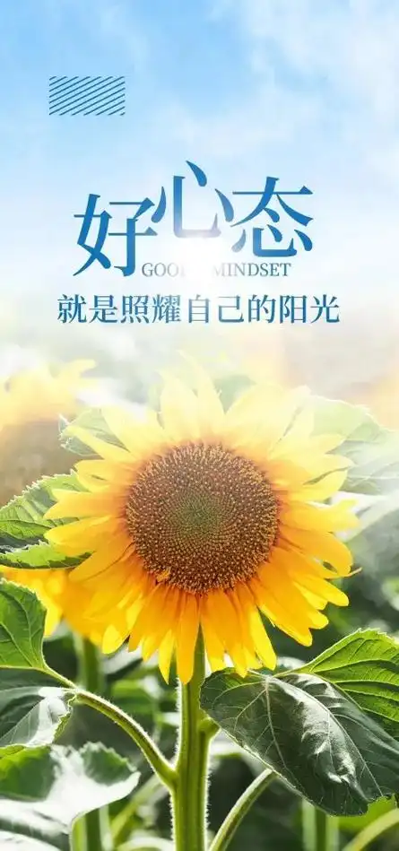 而要靠心态去生活一切都好学会调整心态心态好除了你自己88888888平常