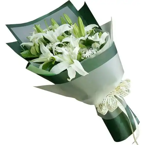 鲜花速递全国配松教师物真花北京上海广州同城配松2款11朵白百合花束