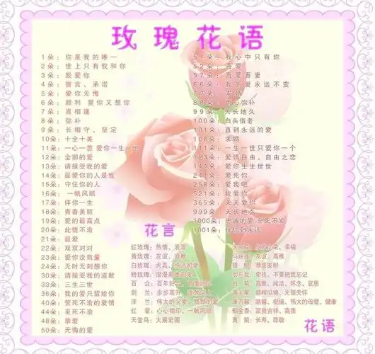 玫瑰花语图片