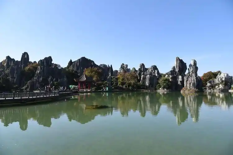 云南昆明石林,国家5a景区,喀斯特地貌演化而来,奇山秀水,茂林绿野