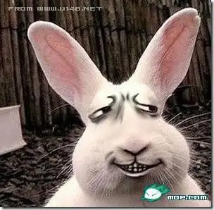 求猥琐点兔子头像