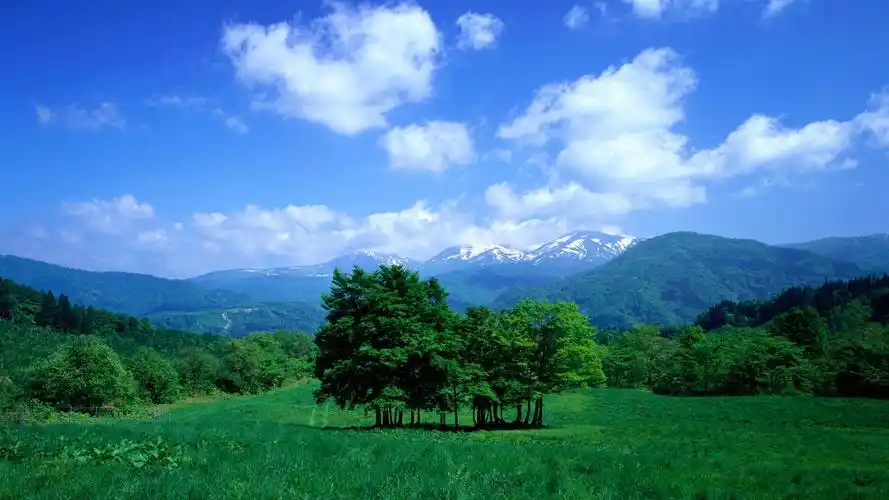 1920x1080 全高清 桌布 树木,山,草,天空,云,谷