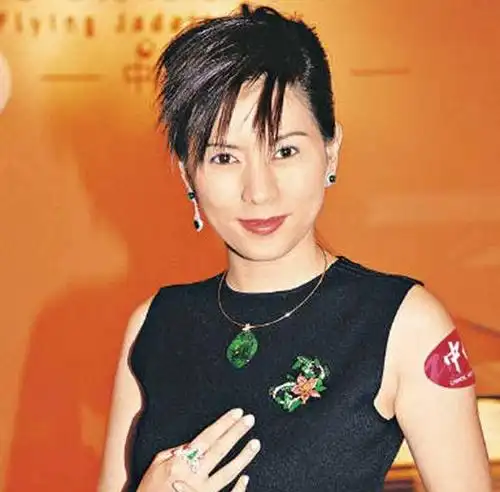 人生无常 命运多舛——盘点2012年去世的明星们