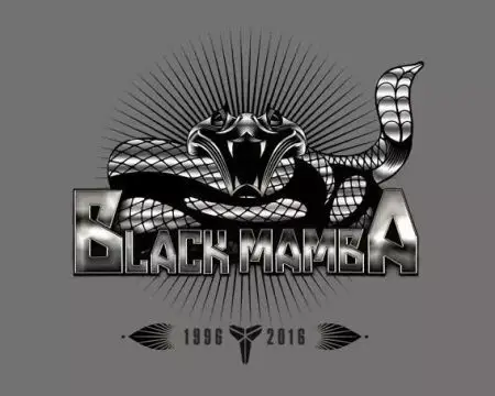 欧文用什么方式致敬"黑曼巴"?