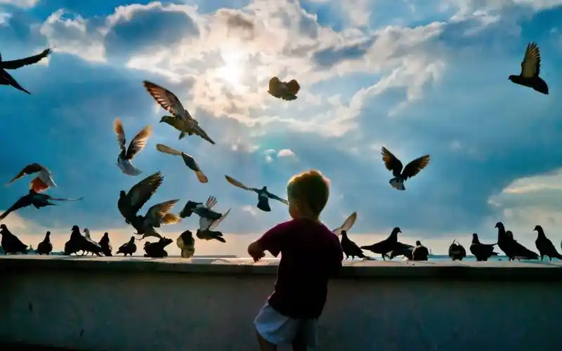 可爱的宝宝图片高清宽屏壁纸可爱宝宝童年个人写真可爱小孩快乐小孩