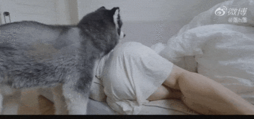 国产健身美女一个gif爆红全网网友这身材简直太诱人