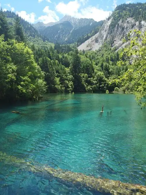 960_1280竖版 竖屏