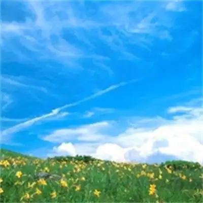 由美头网整理发布,风景头像频道提供更多与春天,风景,微信头像,绿色系