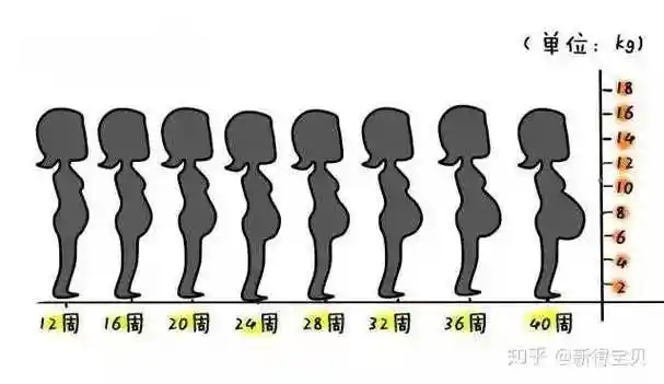 女性在怀孕后身体会发生什么变化?