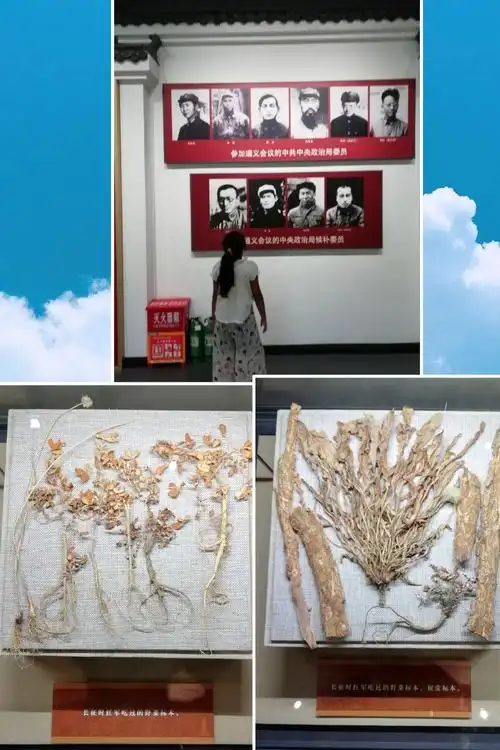 这是红军在长征路上吃过的树皮和野菜的标本!