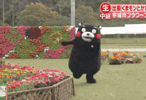 286_196gif 动态图 动图