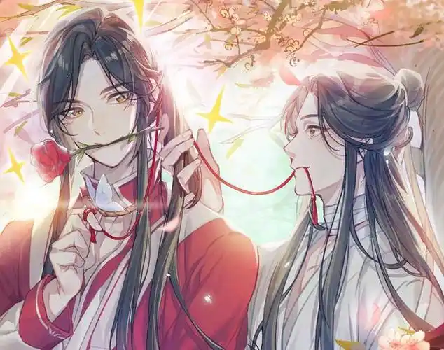 天官无疑是最为唯美的一部作品,因此故事中的谢怜和花城无论从任何