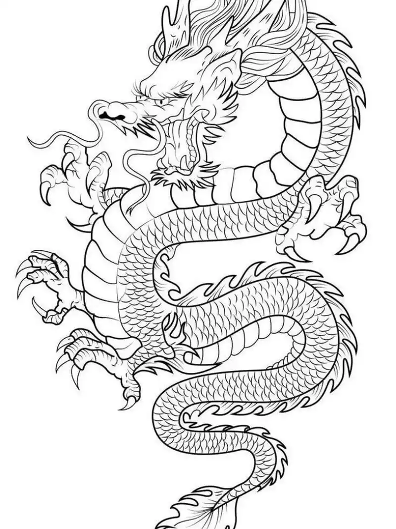 万能素材95设计装饰画插画02中国龙画法画龙