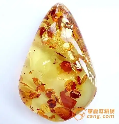 波兰琥珀精品展5月20日在杭州吴山古玩城举行