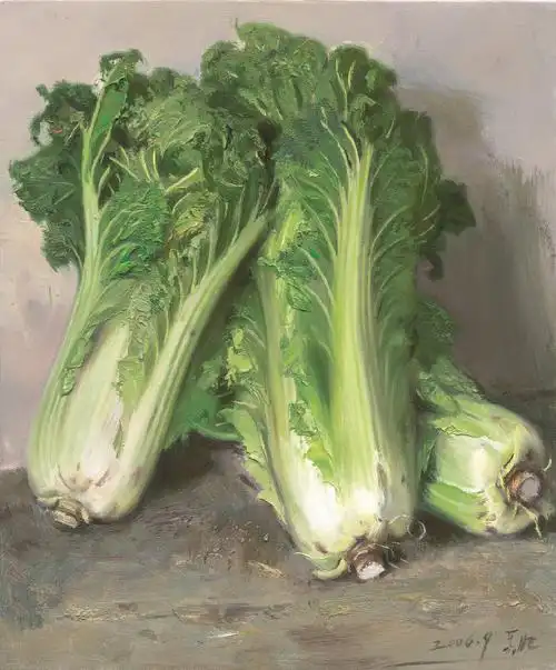 不似超写实那般坚硬,沉闷,呆板,而是给心灵上的震撼,忻东旺画的大白菜