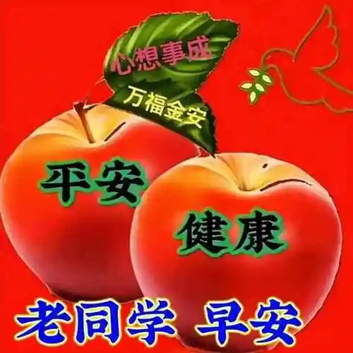 早上好老同学问候图片 ▏情为间隔而贵,心为路遥而思!