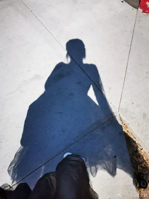 韩聪隔空与mj握手隋文静晒影子照加油小仙女