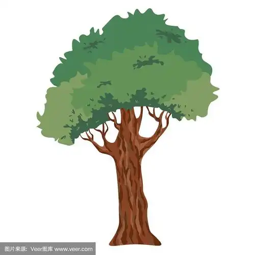 一个带冠和树干的树的矢量画.