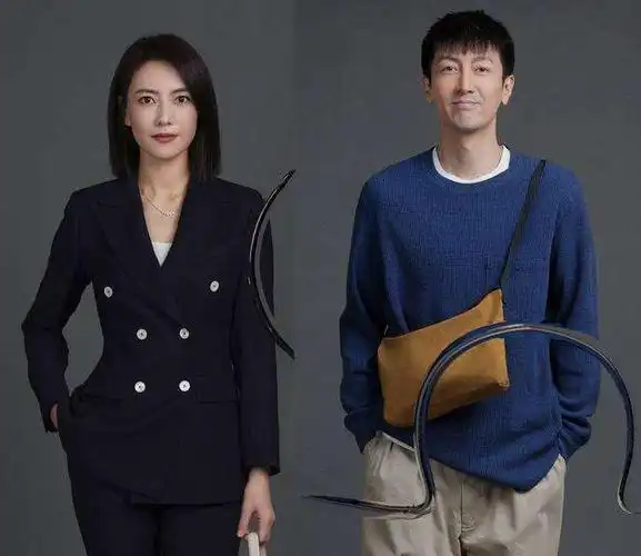 《完美伴侣》不完美,为了凸显高圆圆的完美,张鲁一不太完美