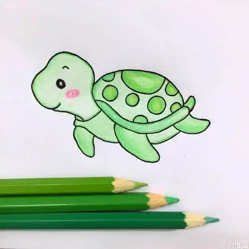 海龟简笔画 海龟简笔画可爱