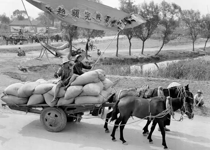 交两部分,所谓的无偿就是不给一分钱,但是农民所在的生产队必须要按照