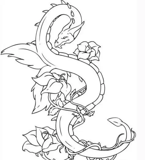 龙的头像画法简笔画